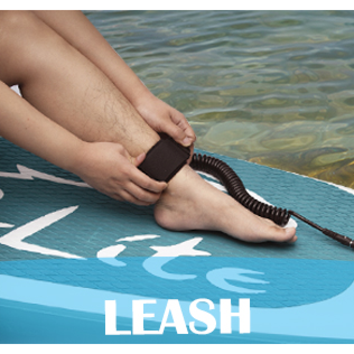 Screen-Shot-2022-12-10-at-8.58.39-PM-1200x1200