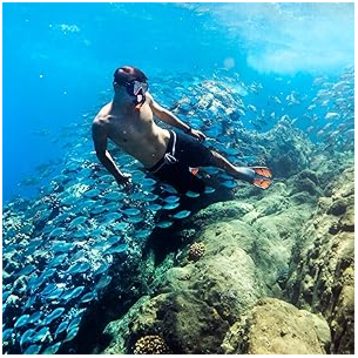 Screenshot-2024-04-09-at-11.18.43-AM-1200x1200